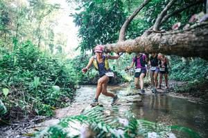 BIB: 
                            <button type="button" onclick="openModal(25441175)" class="btn btn-primary btn-sm float-right btn-popup" data-toggle="modal" data-target=".modal-high-quality">
                        <i class="fas fa-shopping-cart"></i> Add to Cart
                    </button>
                                            <button type="button" onclick="isThisMe(25441175, true)" class="btn btn-success btn-sm float-right btn-popup btn-isme hidden" data-toggle="tooltip" data-placement="bottom" title="นี่คือรูปของคุณใช่ไหม คลิกที่นี่เพื่อเอาเข้าอัลบั้ม">
                        <i class="fas fa-plus"></i> Add to album
                    </button>
                    <button type="button" onclick="isThisMe(25441175, false)" class="btn btn-warning btn-sm float-right btn-popup btn-isnotme hidden">
                        <i class="fas fa-ban"></i> Remove from album
                    </button>